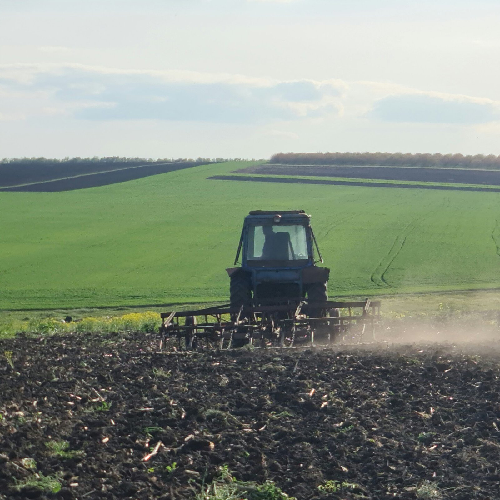 Fertilizers